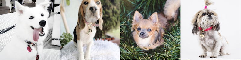 Brklz���T�C�g